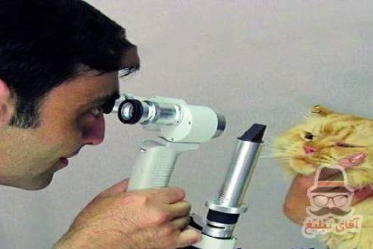 چشم پزشکی حیوانات دامپزشکی درین